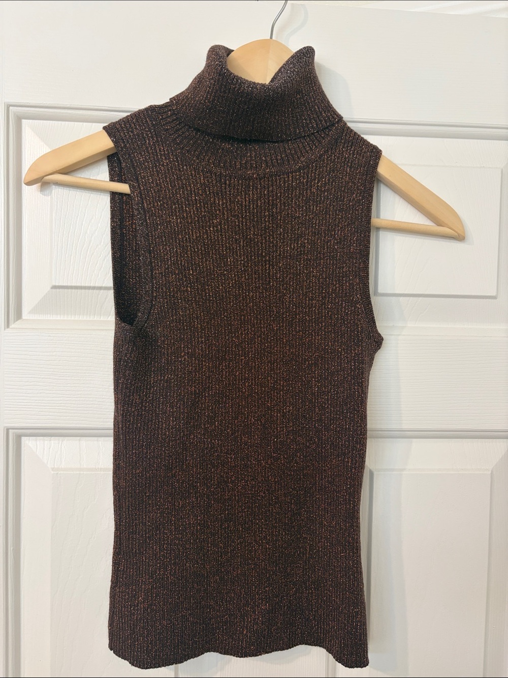 It's Our Time Sleeveless Metallic Brown Turtleneck Sweater